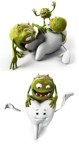 ミュータンス菌